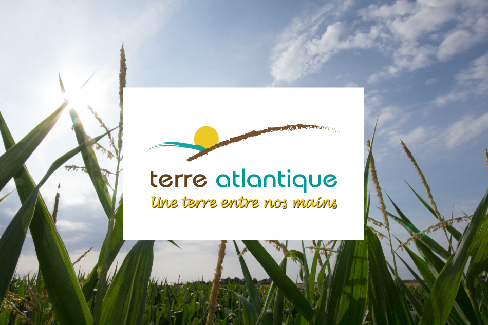 Notre groupe